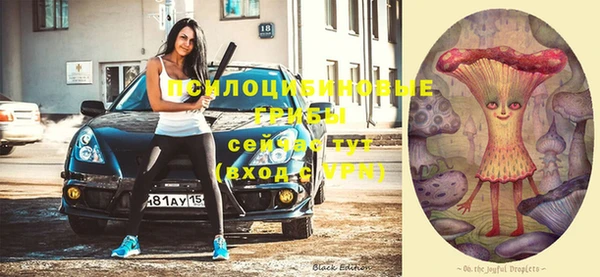 круглые Абаза